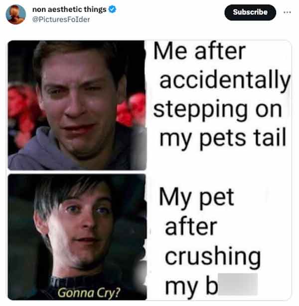 funny tweets -  facial expression - non aesthetic things Gonna Cry? Subscribe Me after accidentally stepping on my pets tail My pet after crushing my b