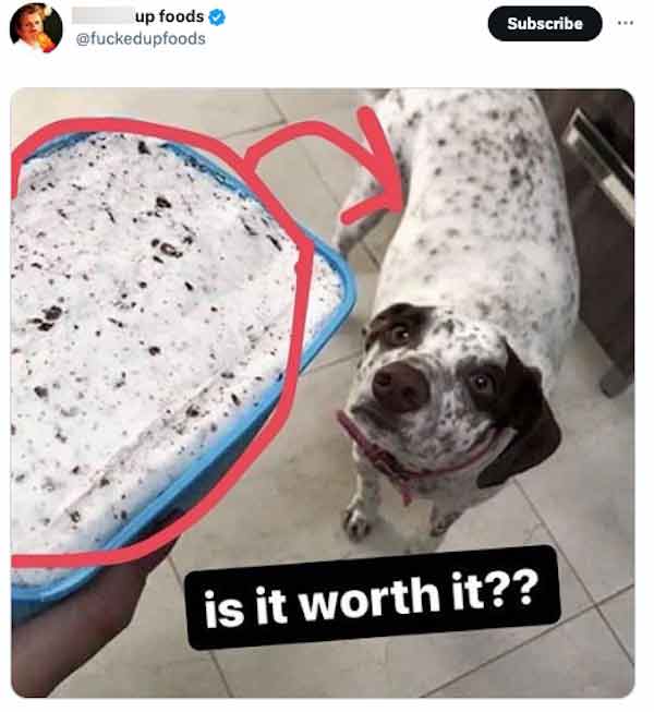 funny tweets -  dalmatian - up foods Subscribe is it worth it??