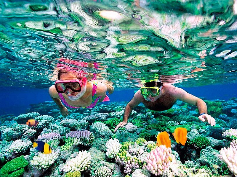 dumb secrets couples keep - That I pooped in the ocean while snorkeling off of Hawaii. And that was the reason for all the beautiful fish swarming around us all of a sudden (bon appetit dear fish!) Yes, indeed, it was magical. u/Grokker999