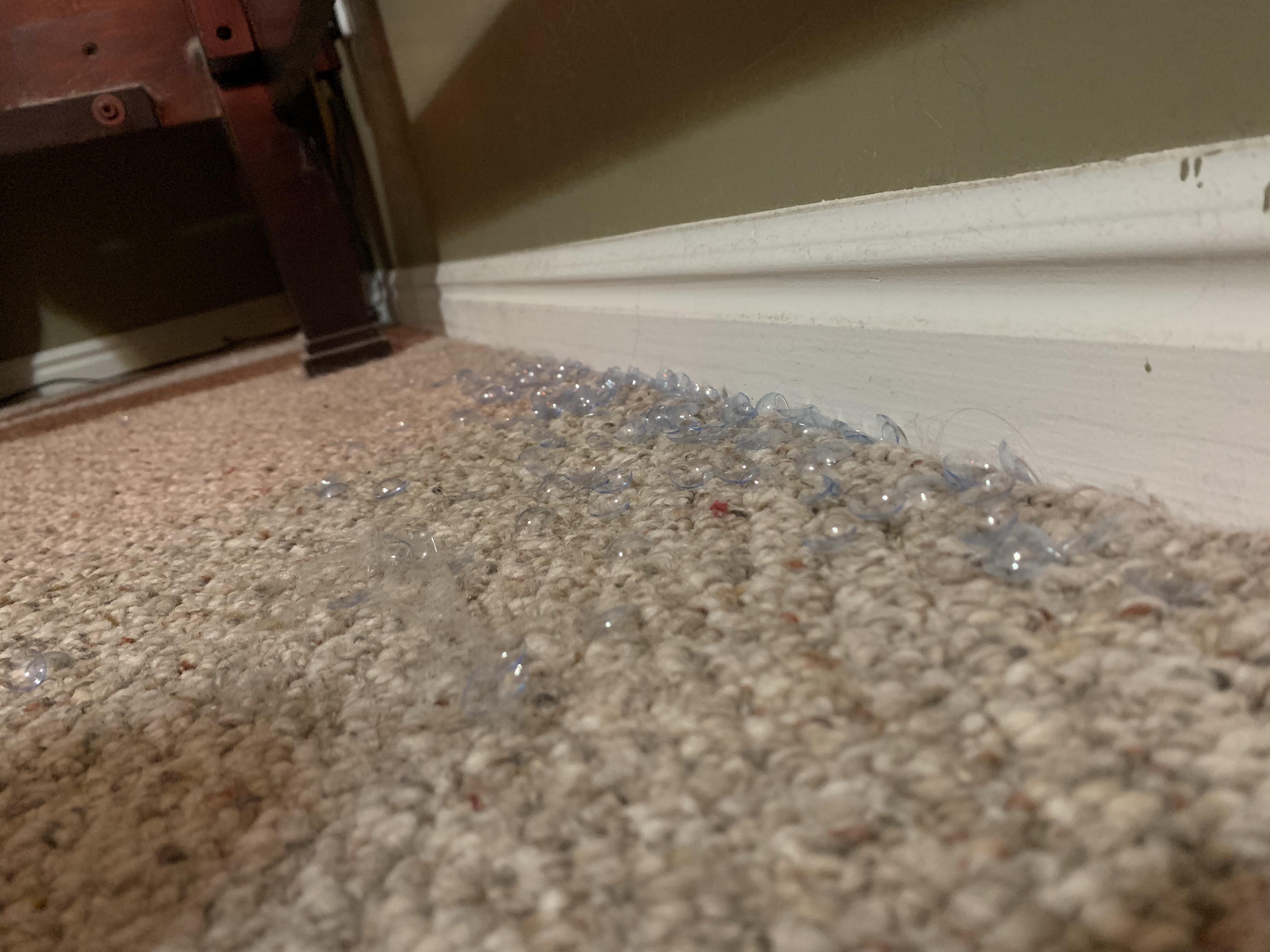 dumb secrets couples keep - I found your pile of used contact lenses under the dresser next to the bed. u/Phantapant