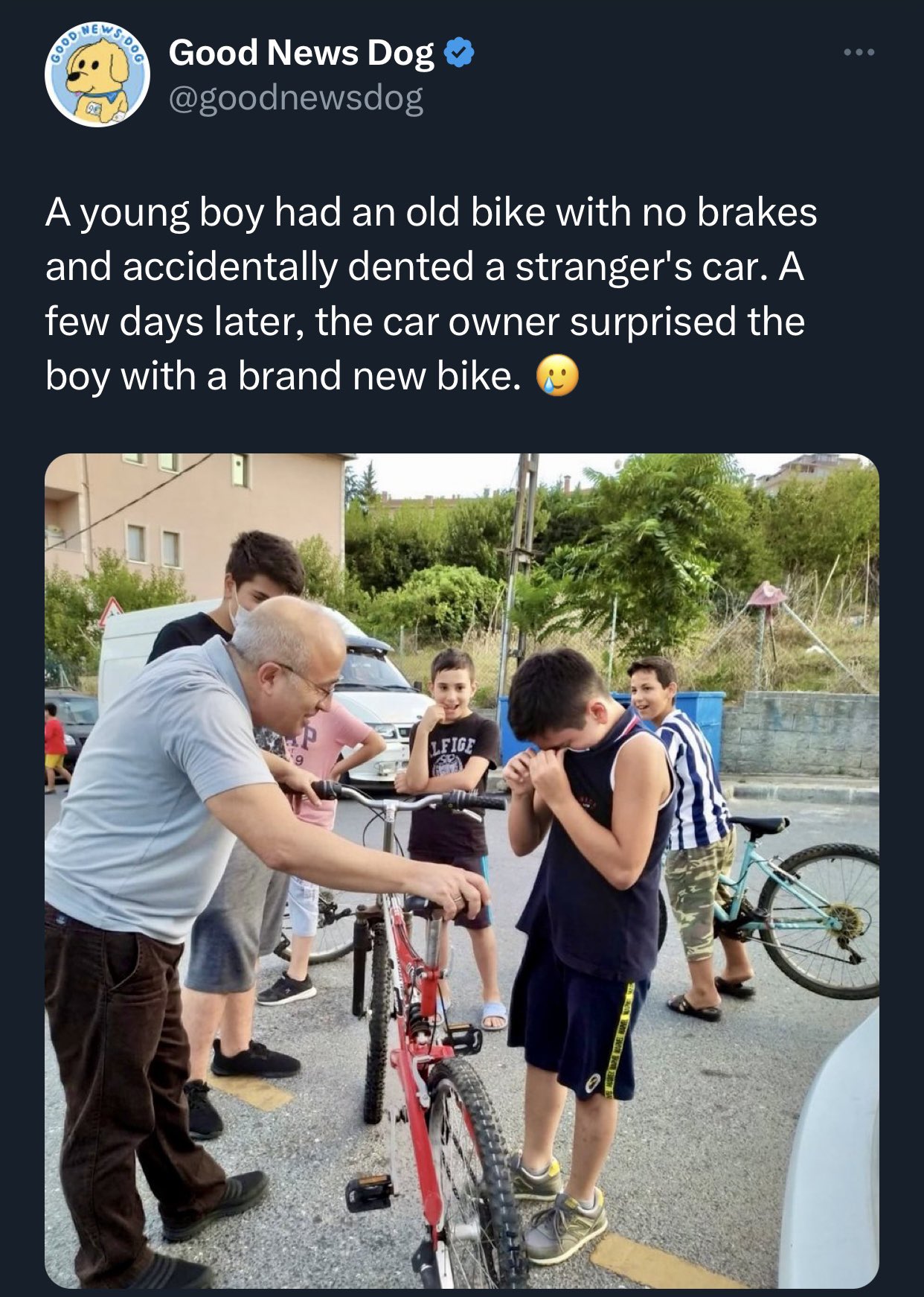 dudes posting their Ws - community - Goo9 S Dog Good News Dog A young boy had an old bike with no brakes and accidentally dented a stranger's car. A few days later, the car owner surprised the boy with a brand new bike. C Lfige Gama