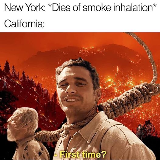 funny tweets and twitter memes - album cover - New York Dies of smoke inhalation California First time?