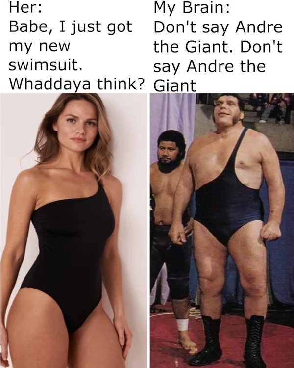funny tweets and twitter memes - shoulder - Her My Brain Babe, I just got Don't say Andre my new the Giant. Don't swimsuit. Whaddaya think? Giant say Andre the Pcccon
