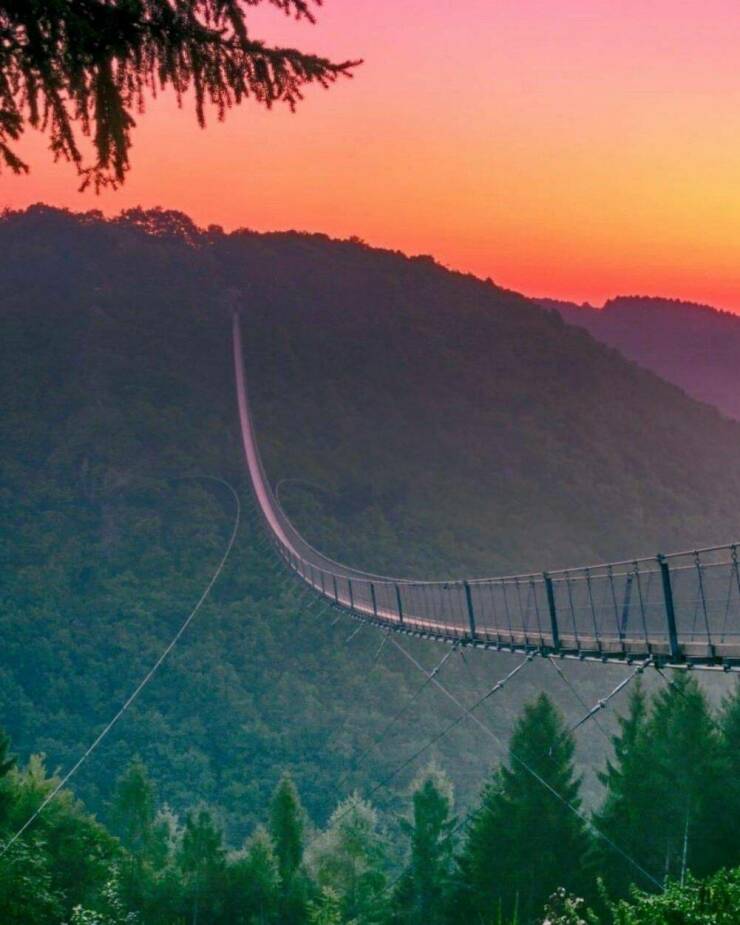 cool pics and funny memes - geierlay suspension bridge