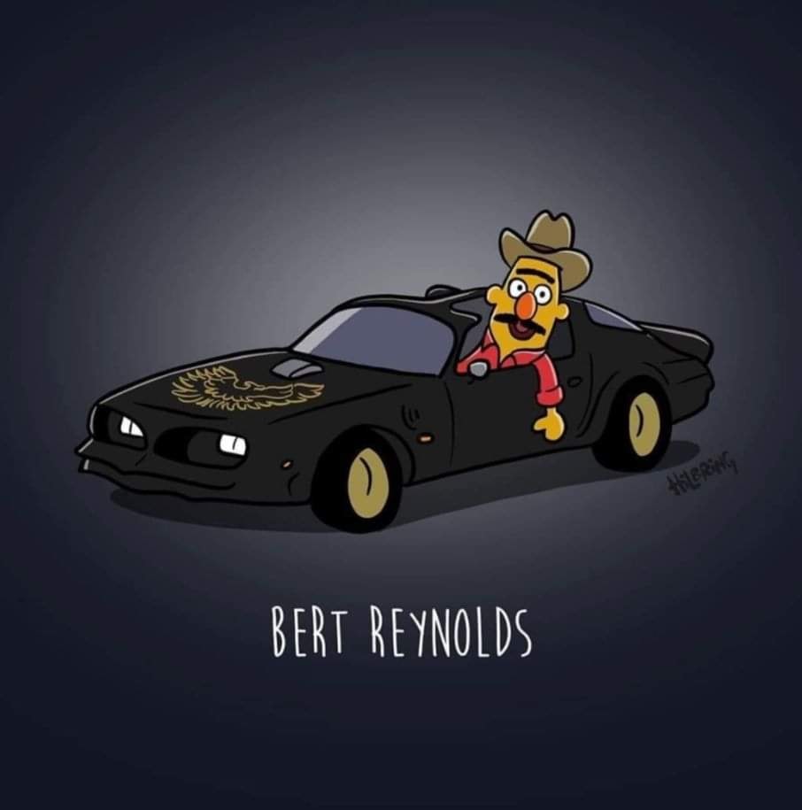funny memes and cool pics - vehicle door - Bert Reynolds Hlering