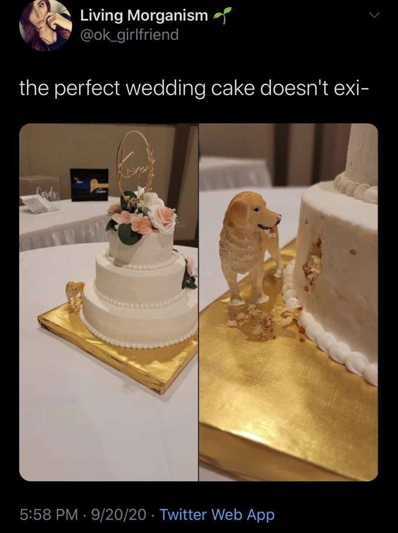 funny memes and cool pics - cake decorating - Living Morganism the perfect wedding cake doesn't exi 92020 Twitter Web App .