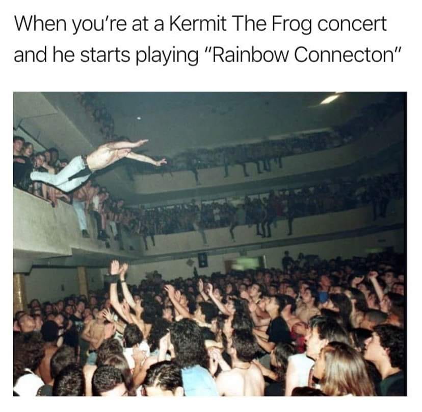 funny memes and cool pics - crowd - When you're at a Kermit The Frog concert and he starts playing "Rainbow Connecton" 411