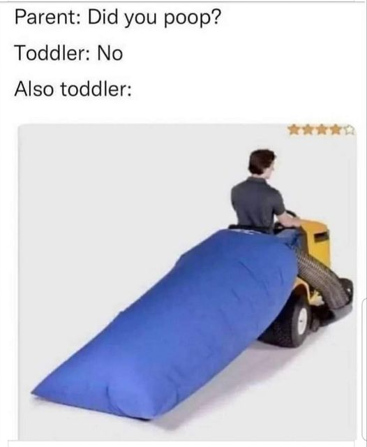 funny memes and cool pics - vehicle - Parent Did you poop? Toddler No Also toddler