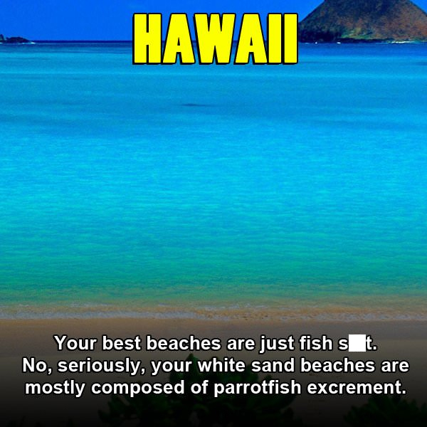 Hawaii Your best beaches are just fish st. No, seriously, your white sand beaches are mostly composed of parrotfish excrement.