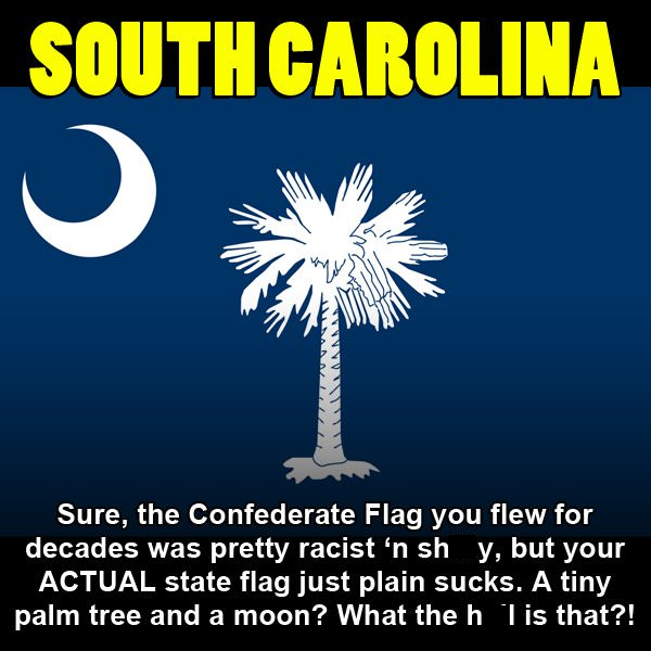 South Carolina Sure, the Confederate Flag you flew for decades was pretty racist 'n sh y, but your Actual state flag just plain sucks. A tiny palm tree and a moon? What the hI is that?!