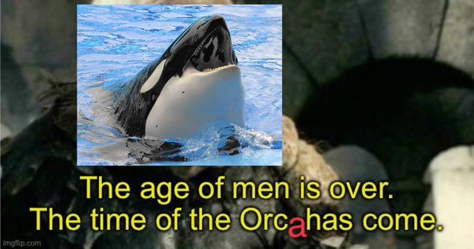 Orca Memes - fauna - The age of men is over. The time of the Orcahas come. imgflip.com