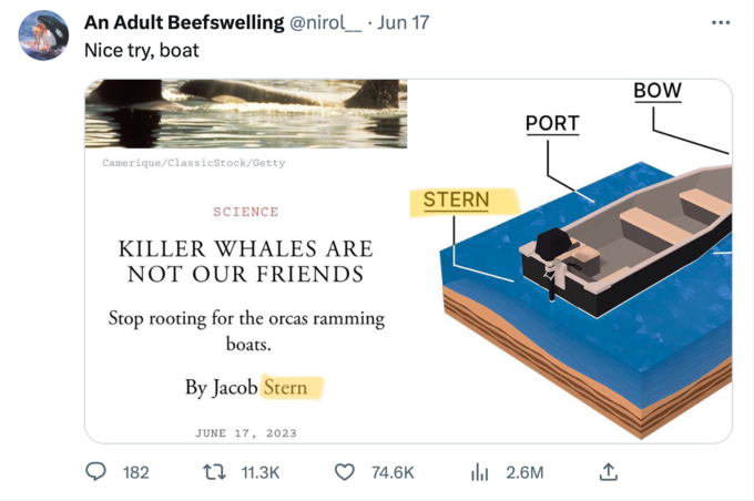 Orca Memes - angle - An Adult Beefswelling . Jun 17 Nice try, boat CameriqueClassicStockGetty Science Killer Whales Are Not Our Friends Stop rooting for the orcas ramming boats. By Jacob Stern Stern Port 2.6M Bow