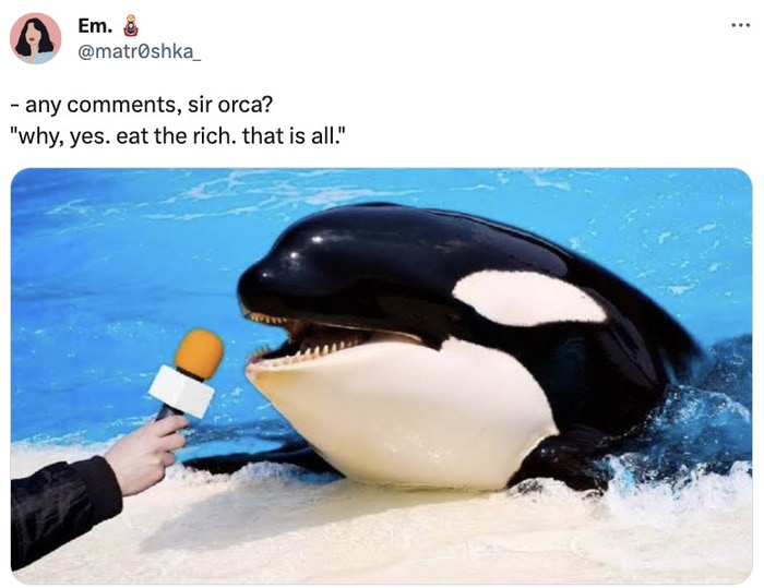 Orca Memes - killer whale - Em. any , sir orca? "why, yes. eat the rich. that is all."