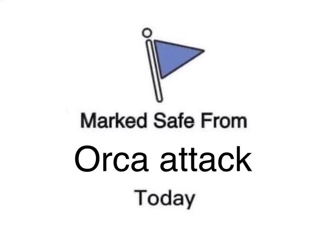 Orca Memes - triangle - Marked Safe From Orca attack Today