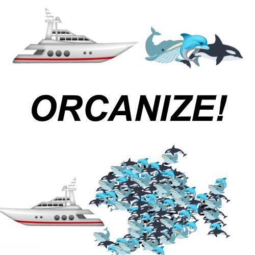 Orca Memes - organize fish - Orcanize!