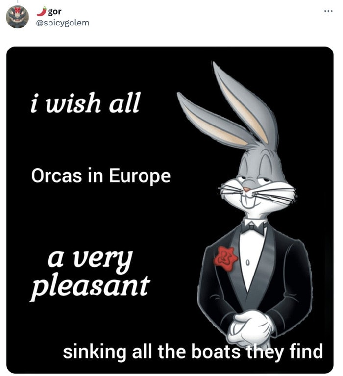 Orca Memes - cartoon - gor i wish all Orcas in Europe a very pleasant sinking all the boats they find