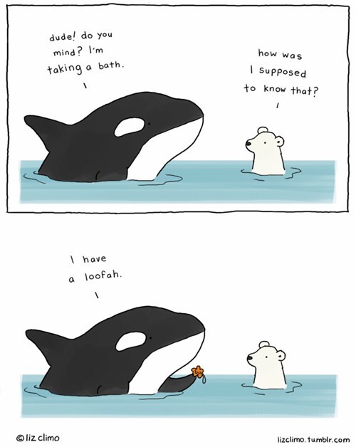Orca Memes - liz climo orca - dude! do you mind? I'm taking a bath. liz climo I have. a loofah. how was I supposed to know that? lizclimo.tumblr.com