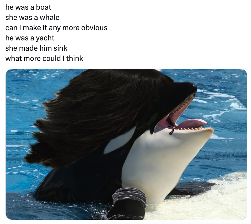 Orca Memes - killer whale - he was a boat she was a whale can I make it any more obvious he was a yacht she made him sink what more could I think