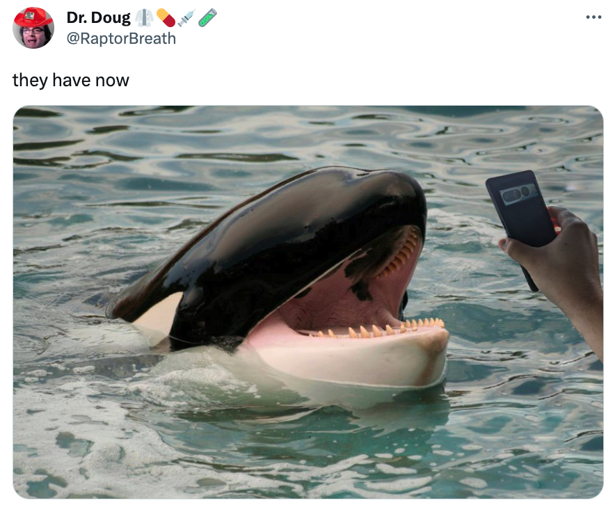 Orca Memes - orka's - Dr. Doug they have now Elle ...