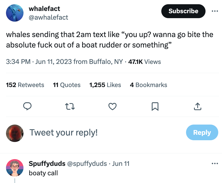 Orca Memes - screenshot - whalefact whales sending that 2am text "you up? wanna go bite the absolute fuck out of a boat rudder or something" . from Buffalo, Ny Views 152 11 Quotes 1,255 27 Tweet your ! Spuffyduds . Jun 11 boaty call 4 Bookmarks Subscribe