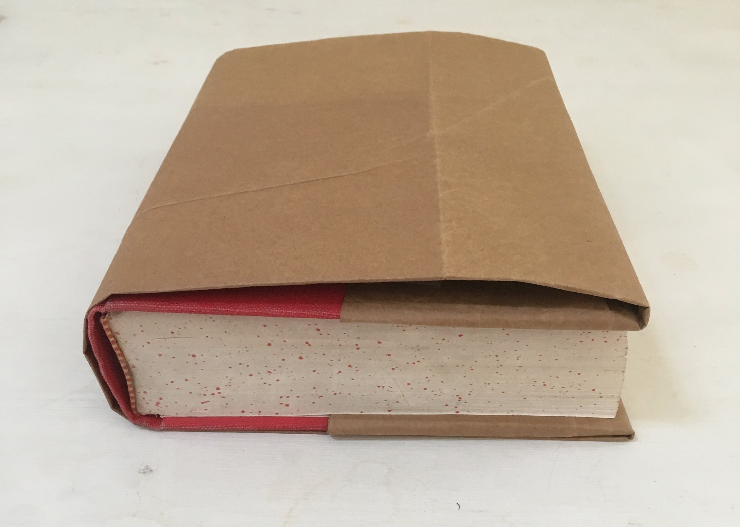 reddit 90s skills - book cover with paper bag