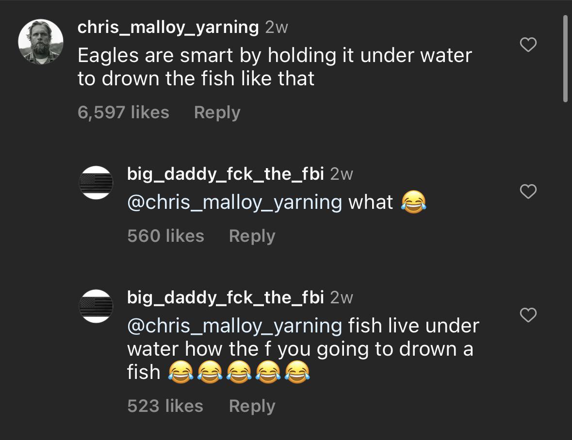 dumbs jokes - screenshot - chris_malloy_yarning 2w Eagles are smart by holding it under water to drown the fish that 6,597 big_daddy_fck_the_fbi 2w what 560 big_daddy_fck_the_fbi 2w fish live under water how the f you going to drown a fish 523
