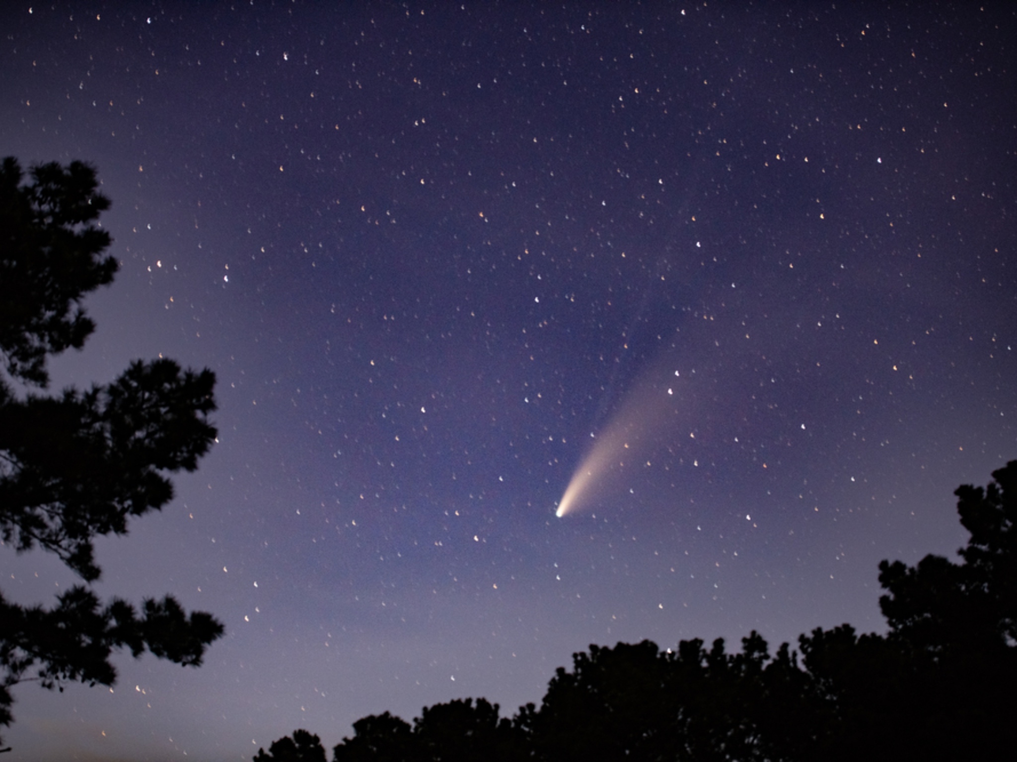 Halley's Comet appeared in the sky when Mark Twain was born in 1835. The comet moves in a seventy-five or seventy-six-year orbit, and, as it neared Earth once again, Twain said “I came in with Halley’s Comet and I expect to go out with it.” Sure enough, he died on April 21, 1910, just as the comet made its next pass within sight of Earth. u/SuvenPan