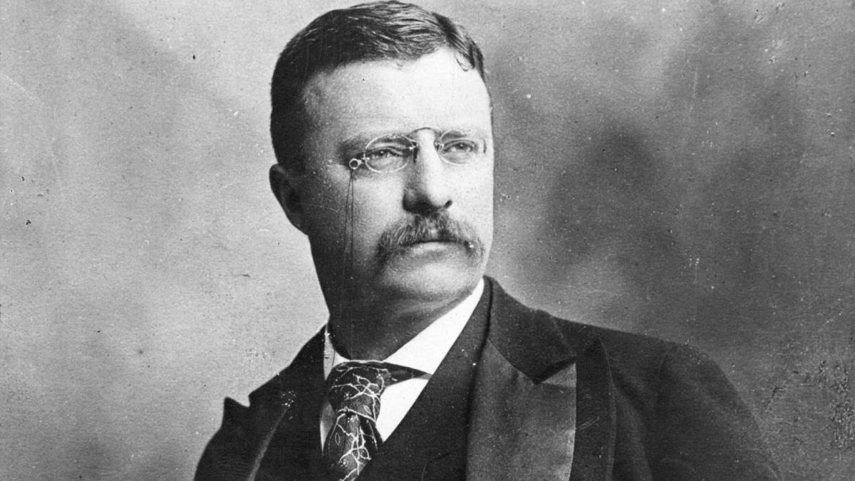 wtf history facts - theodore roosevelt