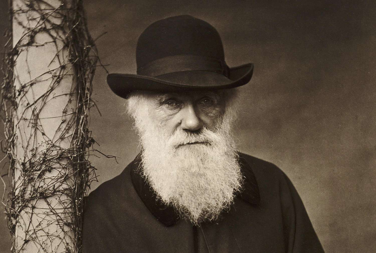 bogus rags to riches - charles darwin