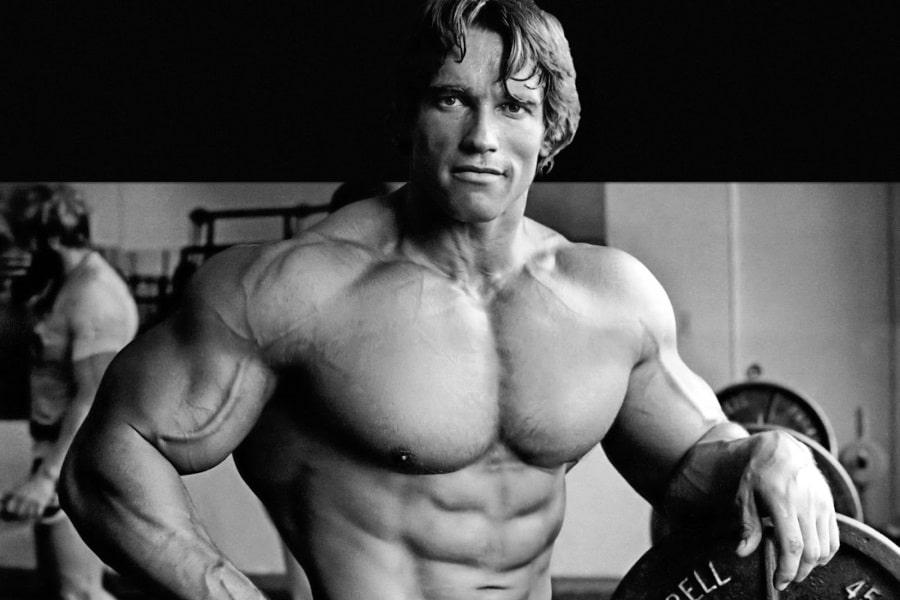 bogus rags to riches - arnold schwarzenegger height - Dell