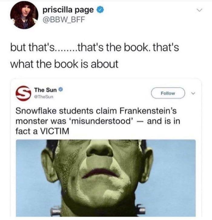 reddit facepalm - frankenstein monster - priscilla page but that's........that's the book. that's what the book is about S The Sun Snowflake students claim Frankenstein's monster was 'misunderstood' and is in fact a Victim Ii