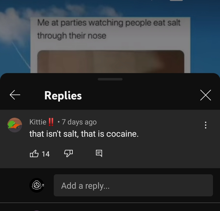 people who missed the joke - screenshot - Me at parties watching people eat salt through their nose Replies Kittie !! 7 days ago that isn't salt, that is cocaine. 14 Add a ... x