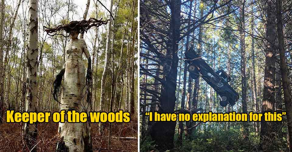 30 Totally Unexpected and Kind of Terrifying Things People Found In The Forest