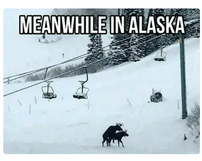 50 Funny Memes that Describe Each U.S. State
