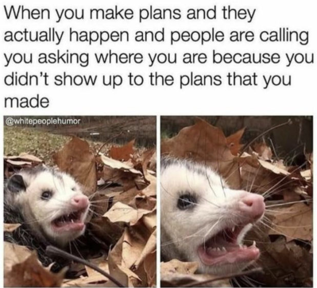 24 Extremely Relatable Memes You Can't Argue With