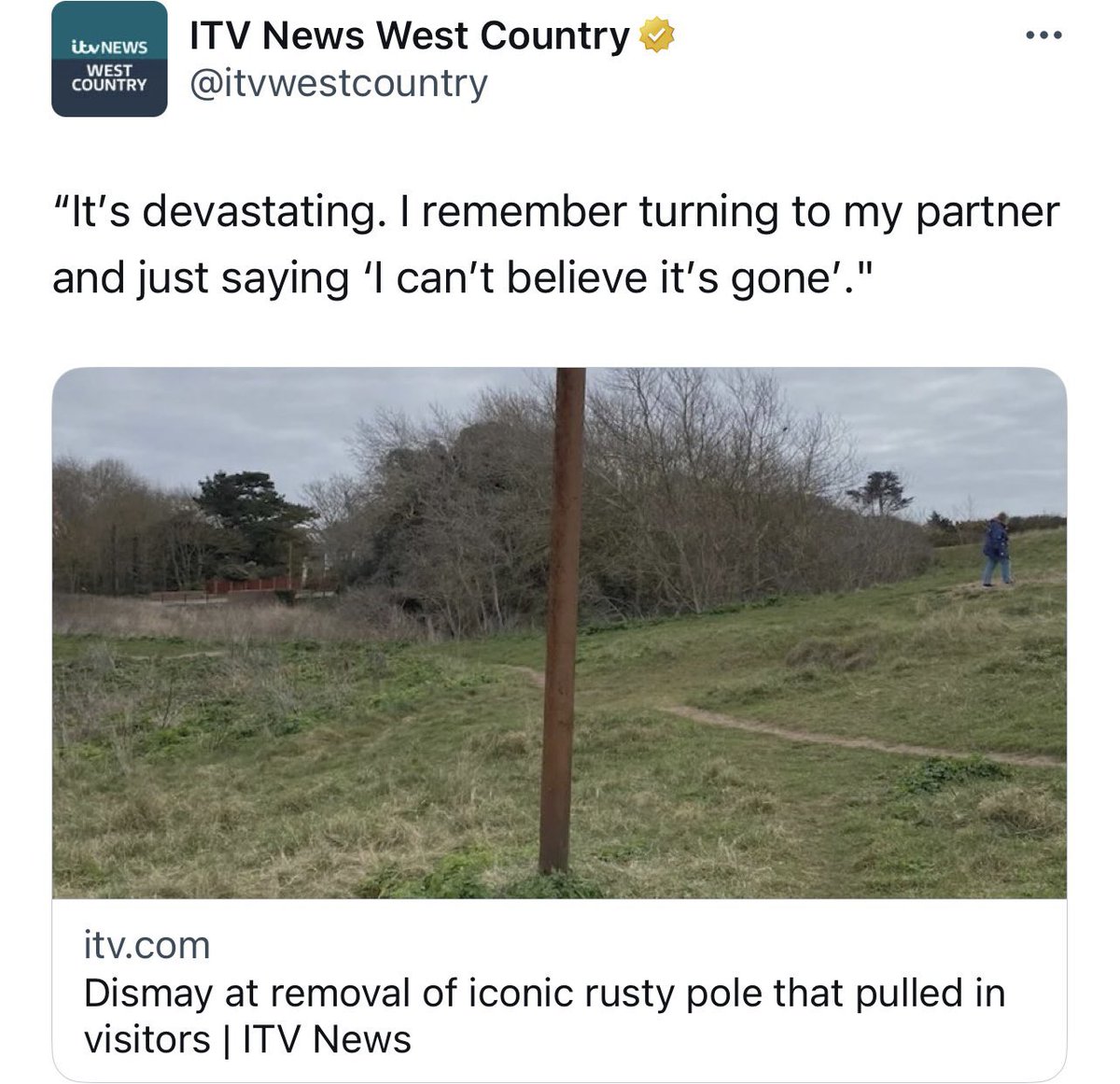 tree - itv News West Country Itv News West Country ...