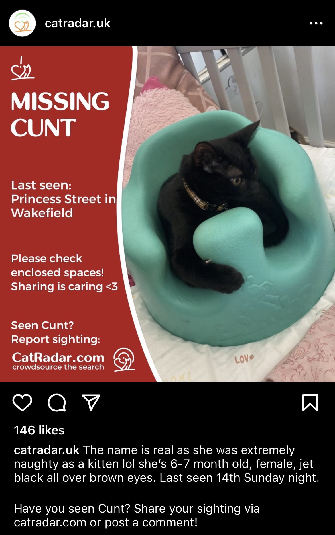 photo caption - catradar.uk MissingLast seen Princess Street in Wakefield Please check enclosed spaces! Sharing is caring