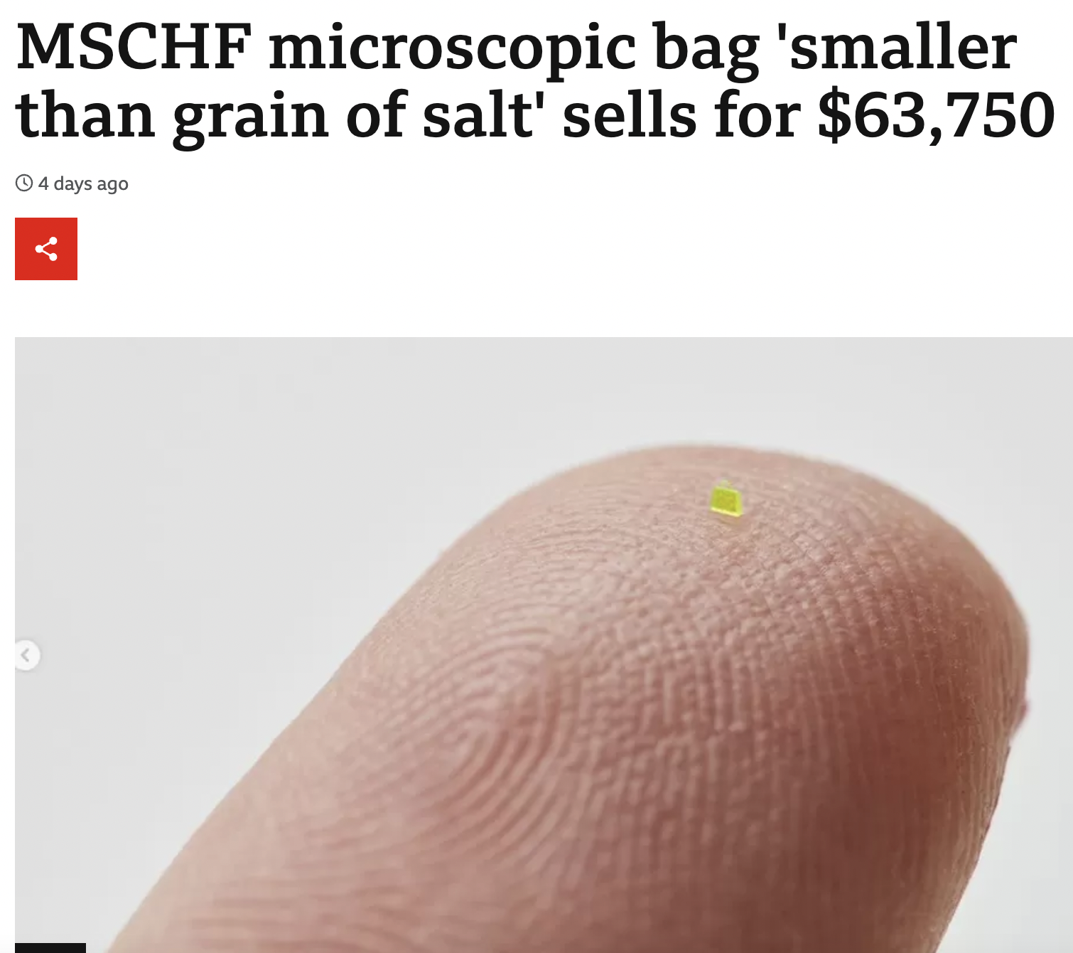 hand - Mschf microscopic bag 'smaller than grain of salt' sells for $63,750 4 days ago