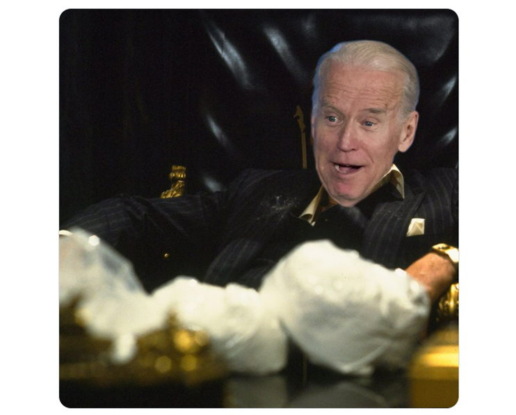 Never Forget: 25 'Snow Biden' Memes and Reactions From Last Summer