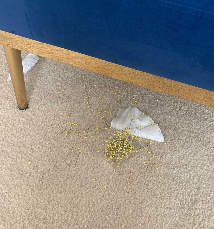 Dropped an entire box of needles on the carpet.