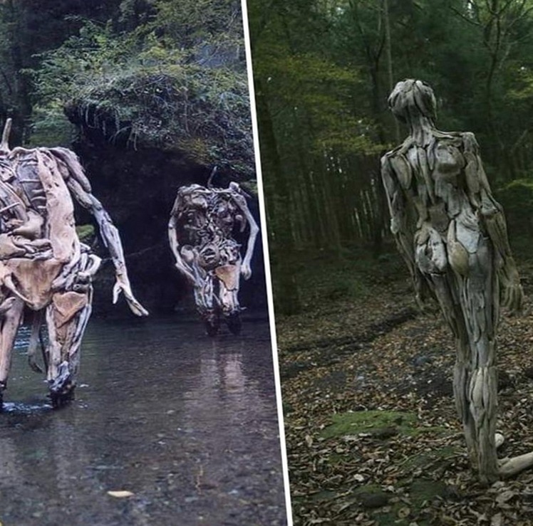 Driftwood figures roaming the forest.