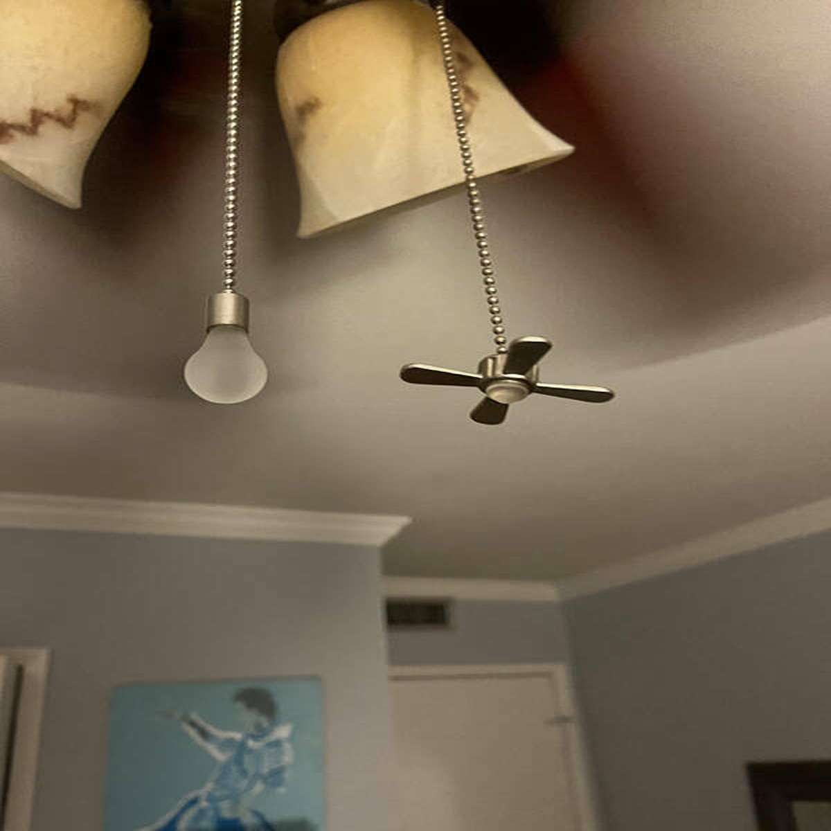 Fan pull chains that have a light bulb and fan blades at the end to indicate which chain to pull.
