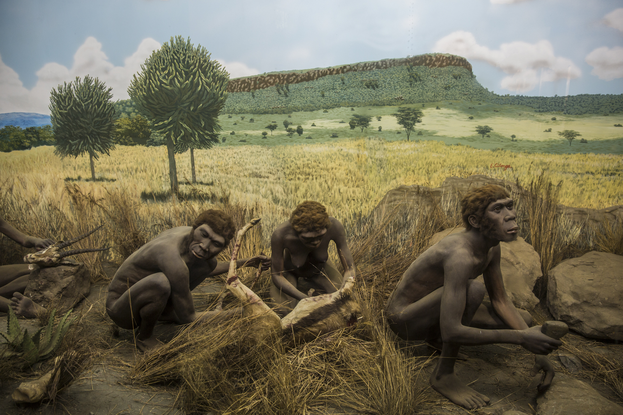 The first modern humans, or Homo Sapiens, date back 200,000 years. That's 33x as long as recorded human civilization. Imagine the type of shit that went down. It wasn't just a bunch of random monkey looking people hanging out by themselves. They absolutely got banded up into tribes and you know they went to war with each other. u/willinaustin