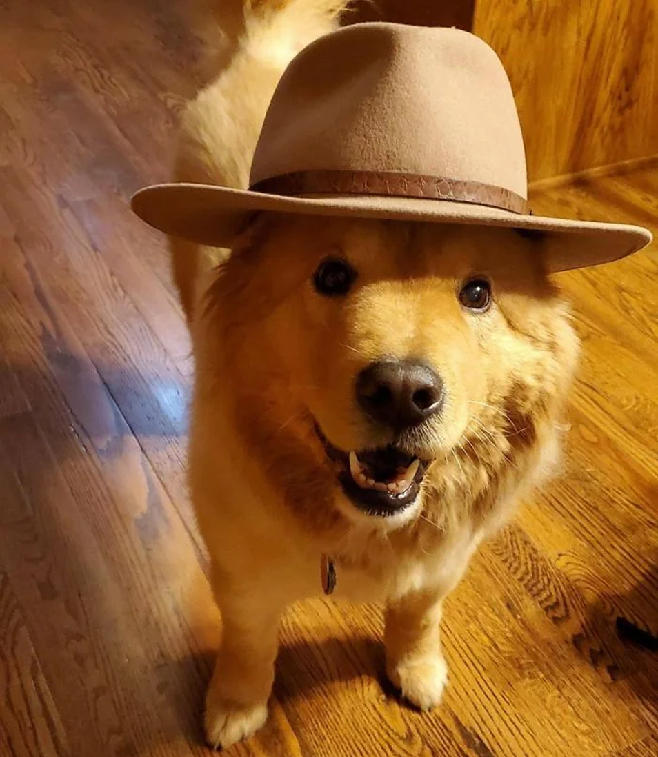 You just gonna scroll by without saying 'Howdy Pardner"?