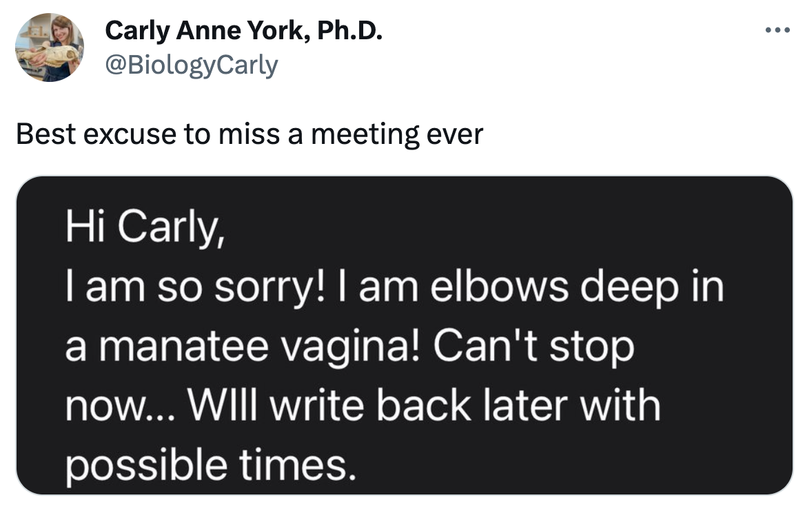 twitter highlights funny tweets  - rihanna unfaithful lyrics - Carly Anne York, Ph.D. Best excuse to miss a meeting ever Hi Carly, I am so sorry! I am elbows deep in a manatee vagina! Can't stop now... Will write back later with possible times.