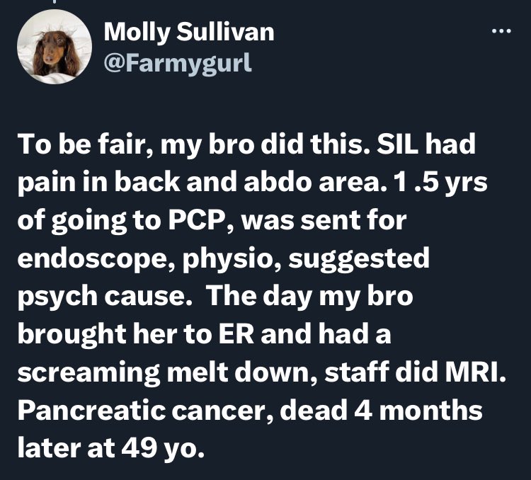 material - C Molly Sullivan To be fair, my bro did this. Sil had pain in back and abdo area. 1.5 yrs of going to Pcp, was sent for endoscope, physio, suggested psych cause. The day my bro brought her to Er and had a screaming melt down, staff did Mri. Pan
