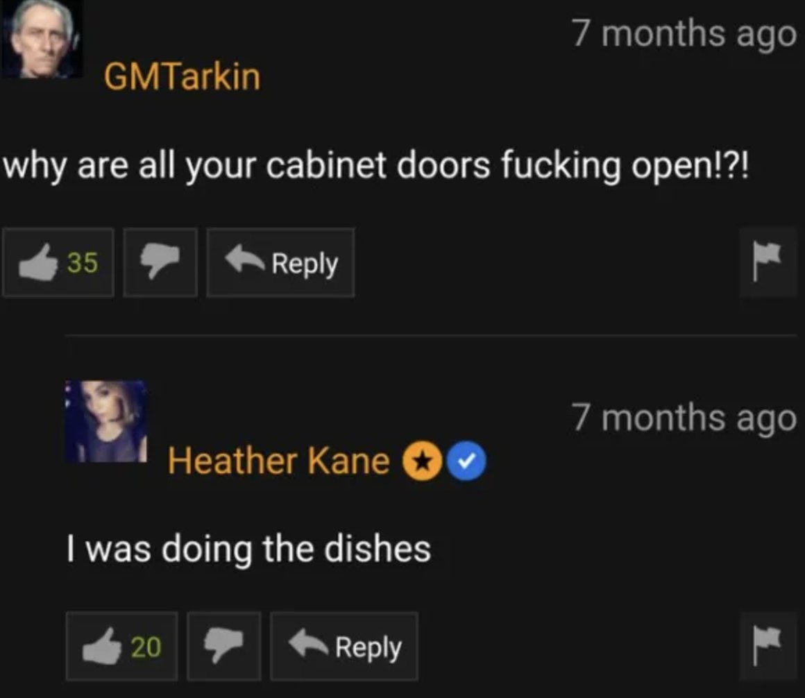 screenshot - GMTarkin why are all your cabinet doors fucking open!?! 35 20 Heather Kane I was doing the dishes 7 months ago 7 months ago