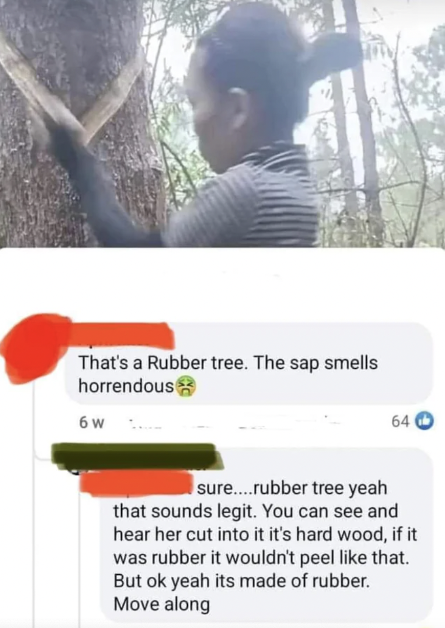 tree - That's a Rubber tree. The sap smells horrendous 6 w 64 sure....rubber tree yeah that sounds legit. You can see and hear her cut into it it's hard wood, if it was rubber it wouldn't peel that. But ok yeah its made of rubber. Move along