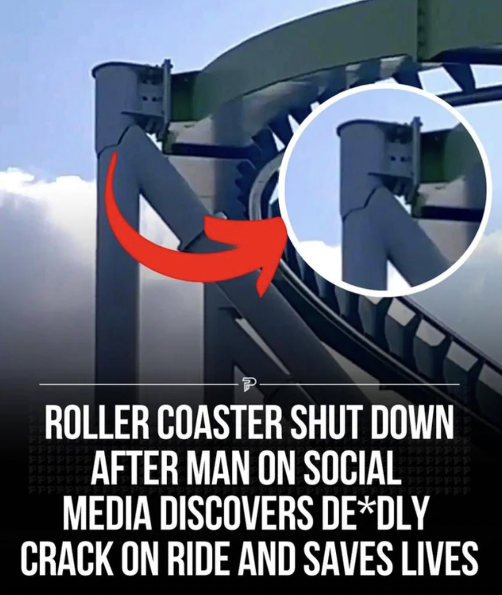 league of their own quotes - Roller Coaster Shut Down After Man On Social Media Discovers DeDly Crack On Ride And Saves Lives