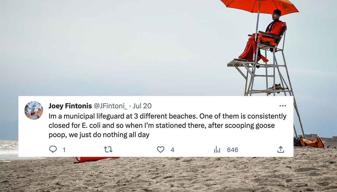 vacation - Joey Fintonis Jul 20 Im a municipal lifeguard at 3 different beaches. One of them is consistently closed for E. coli and so when I'm stationed there, after scooping goose poop, we just do nothing all day 12 1 4 646